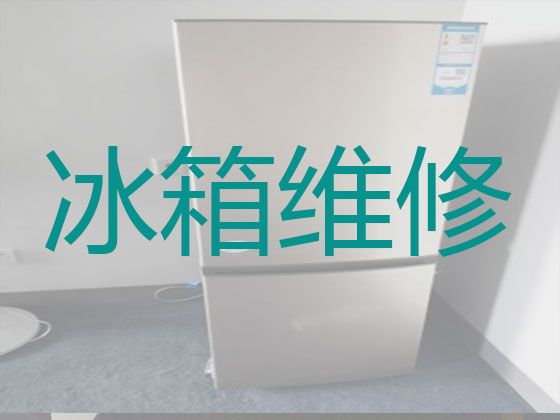 连云港东海县牛山街道电冰箱加冰维修服务-冰柜不制冷维修服务，收费合理