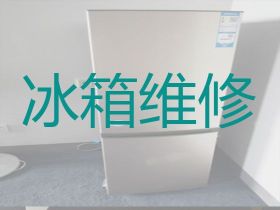 漢川市專業冰箱維修上門維修-家庭電器維...