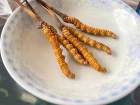 林芝市禮盒裝冬蟲夏草高價回收-回收名酒...