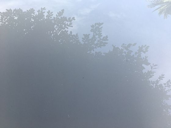 為什么體感40℃比發(fā)燒還難受？揭秘高溫天人體的奇妙反應(yīng)機(jī)制