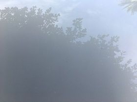 為什么體感40℃比發燒還難受？揭秘高溫天...