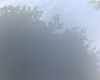 為什么體感40℃比發燒還難受？揭秘高溫天人體的奇妙反應機制