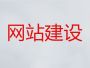 阿坝专业网站设计-网站改版，专业开发团队