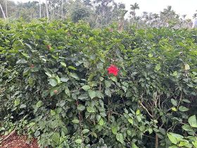 “拼命存錢VS大膽花錢”：兩種財富觀下的...