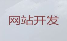 宁波精准获客引流-专业网站建设优化,网站制作